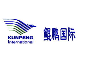 万里鲲鹏 北京国际商务咨询与商务信息咨询的专业伙伴